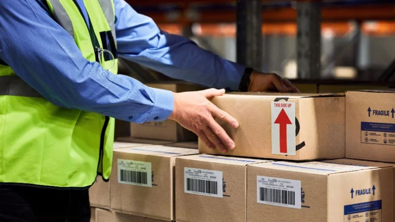 Cargo Handling & Packing